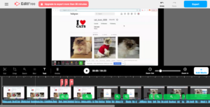 Alt Text: My multimedia project displayed in Screencastify's editing software